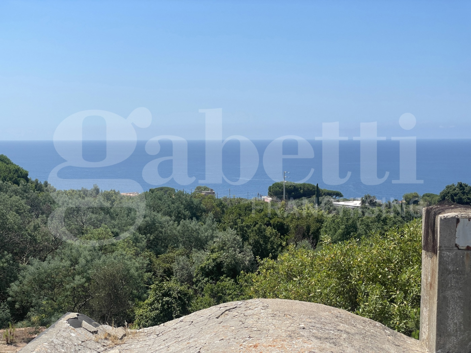 Complesso - Image 17