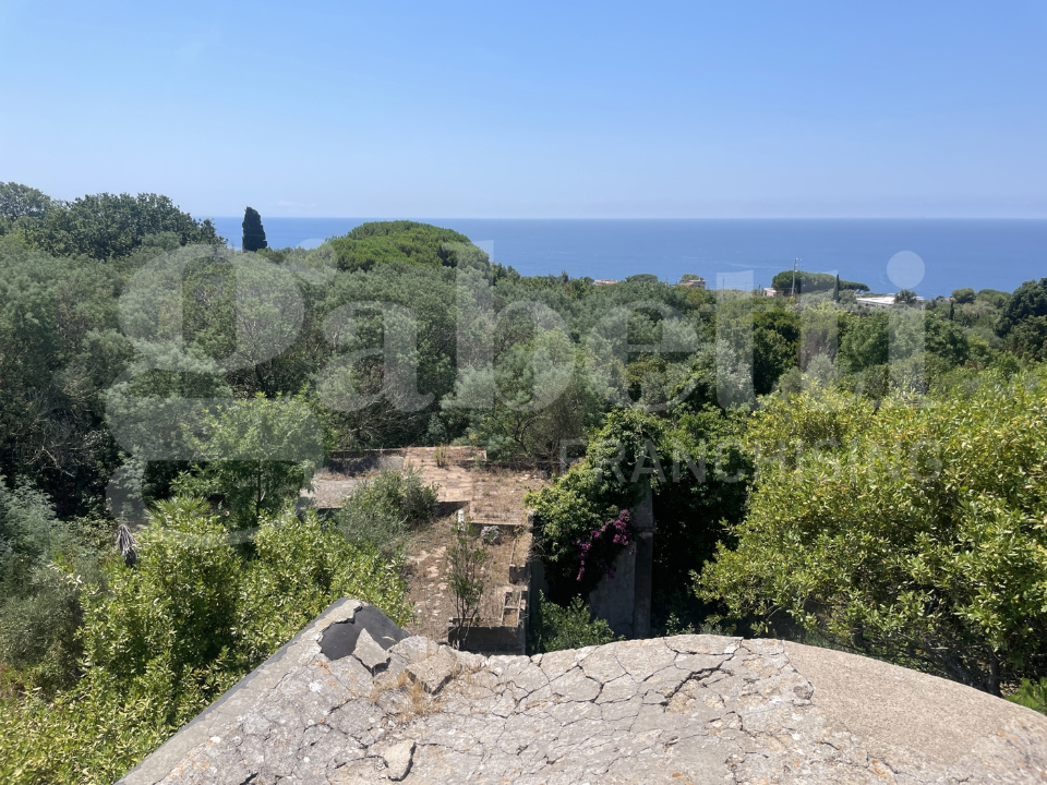 Complesso - Image 13