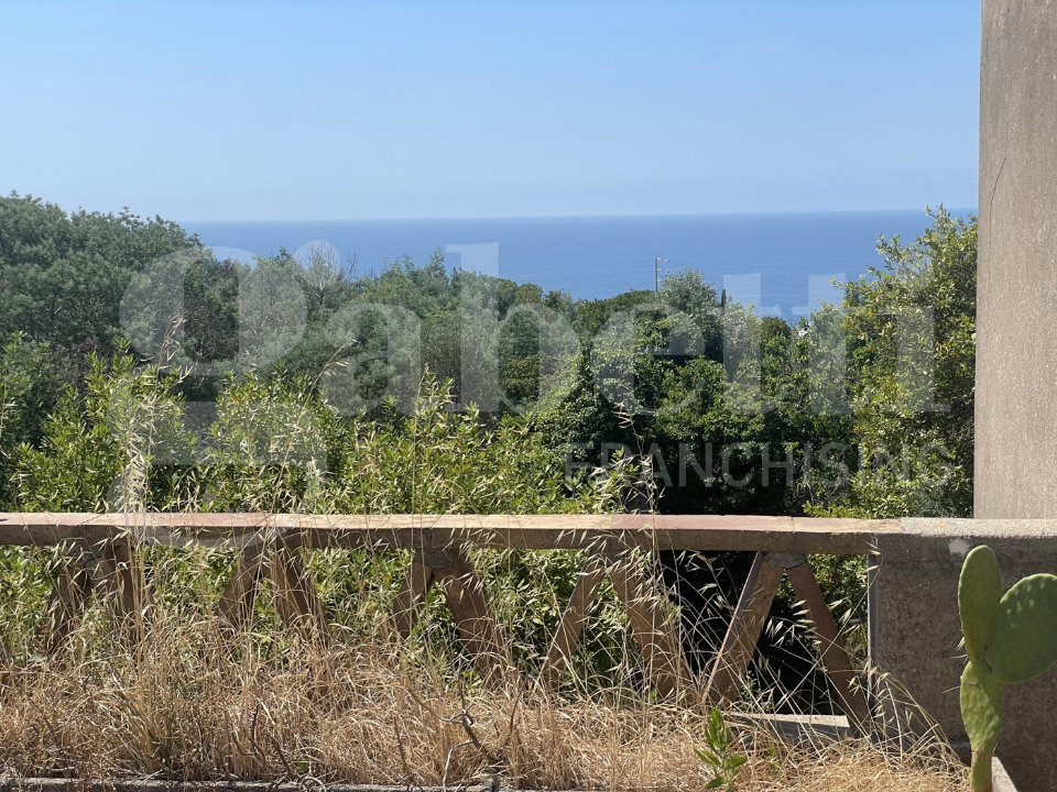 Complesso - Image 10