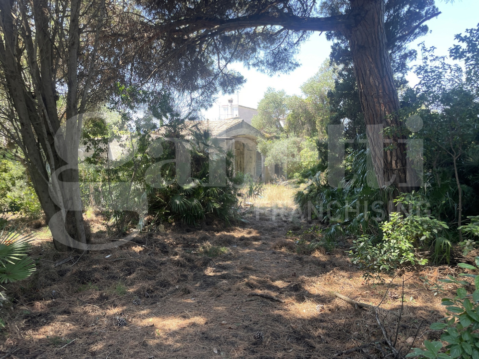 Complesso - Image 19