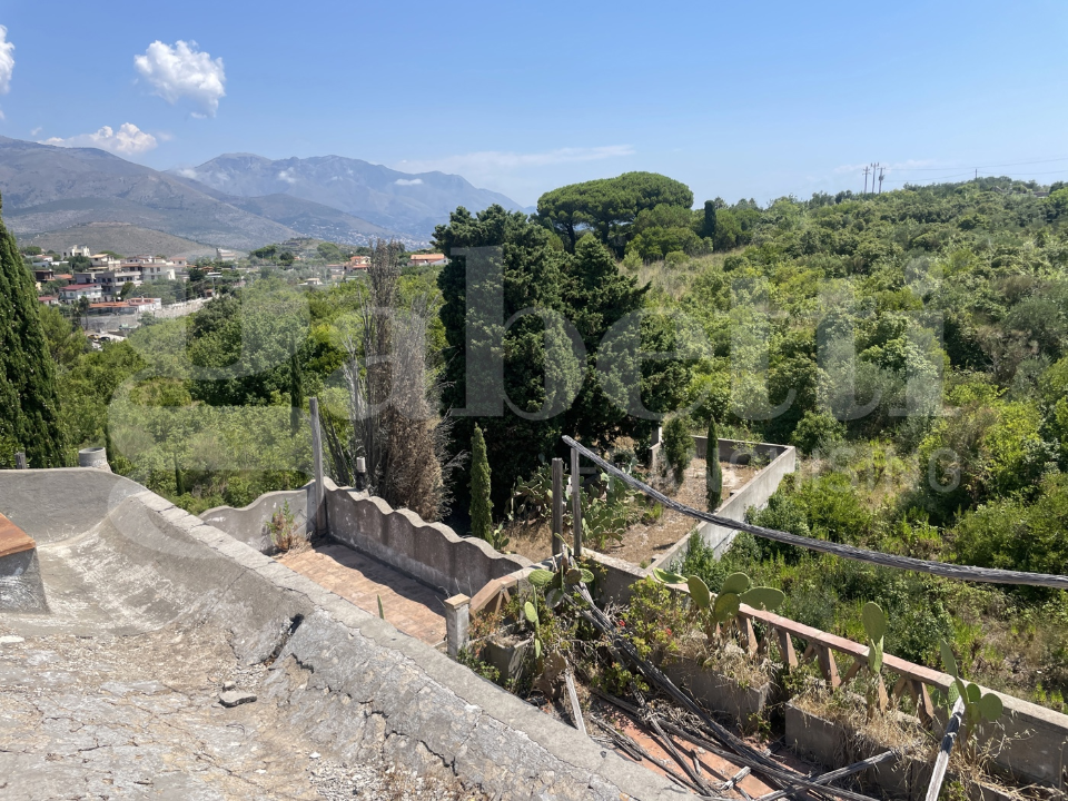 Complesso - Image 16