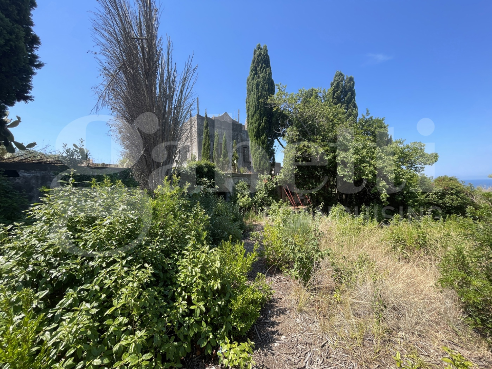 Complesso - Image 6
