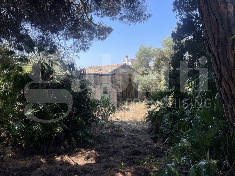 Complesso - Image 20