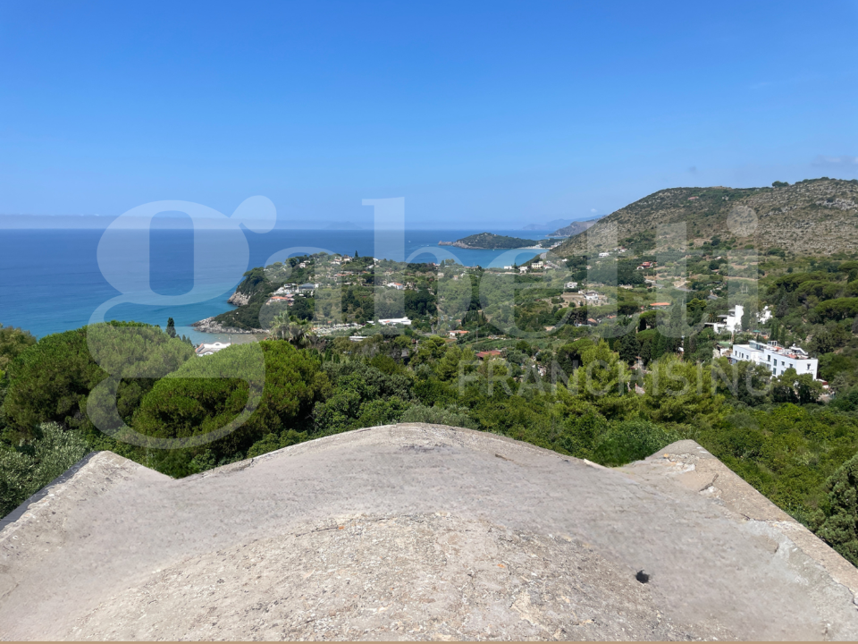 Complesso - Image 15