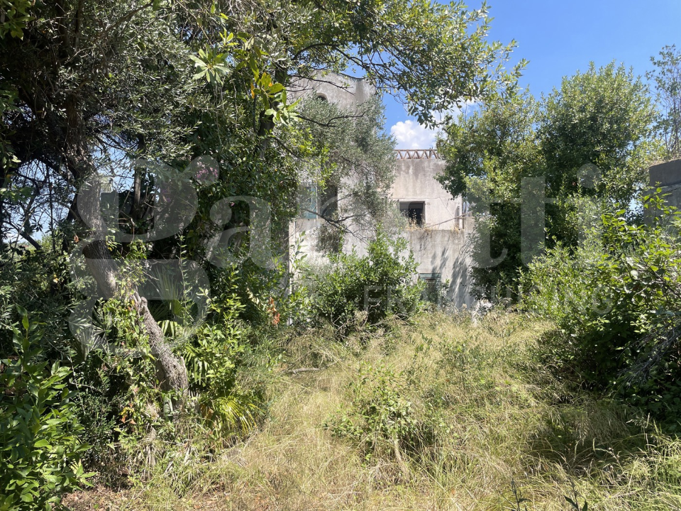 Complesso - Image 18