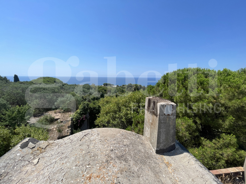 Complesso - Image 12