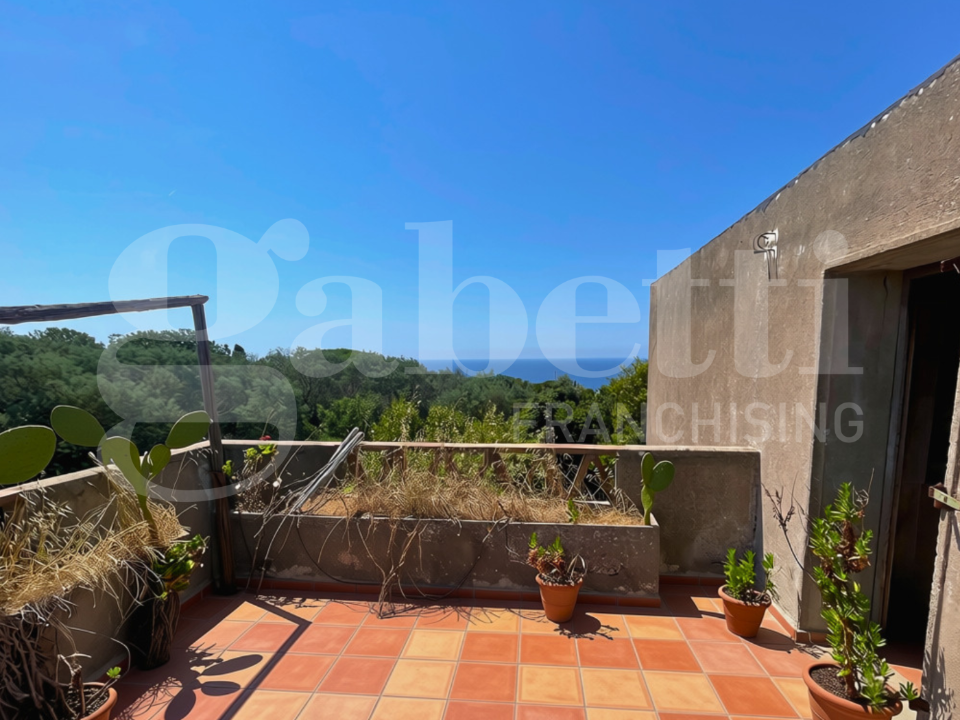 Complesso - Image 8
