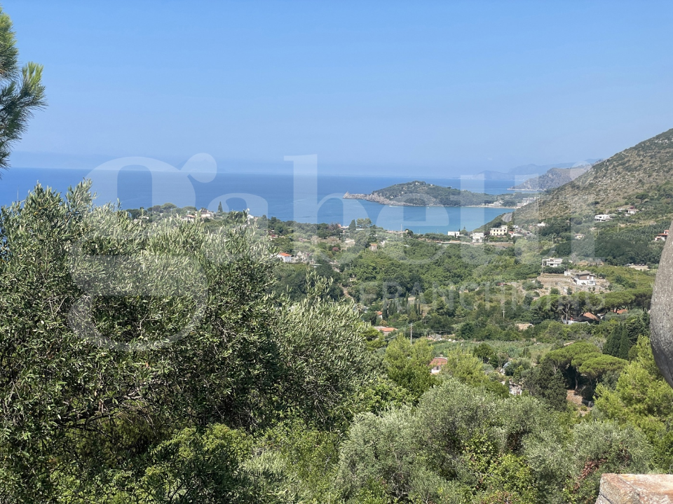 Complesso - Image 9