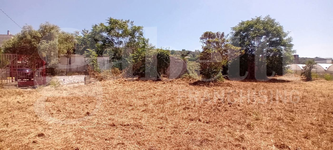 Terreno - Image 8