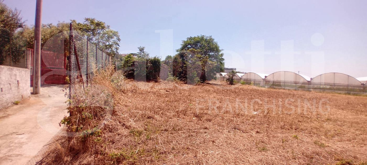 Terreno - Image 10