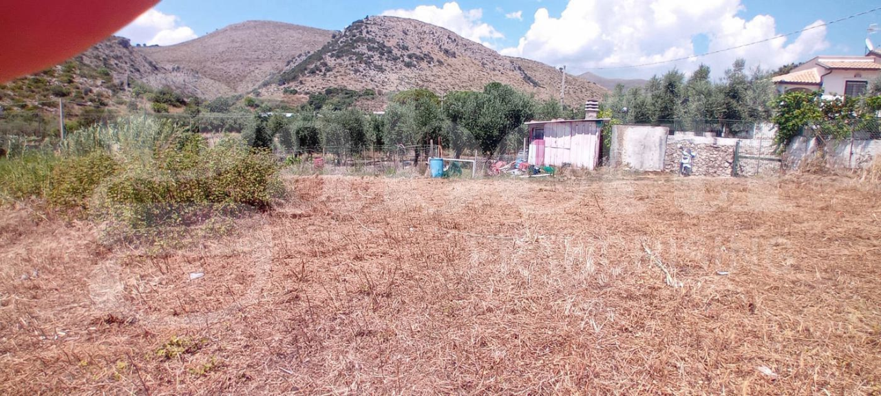 Terreno - Image 7