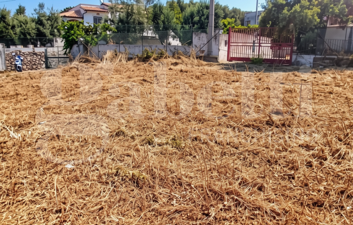 Terreno - Image 4