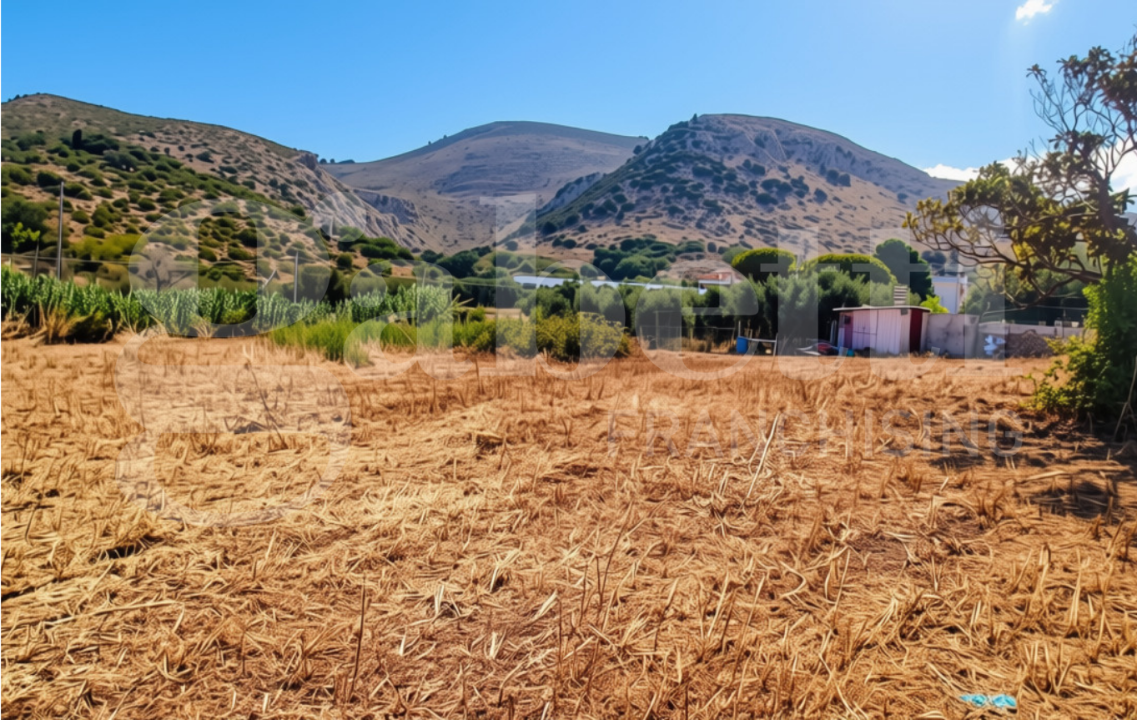 Terreno - Image 6