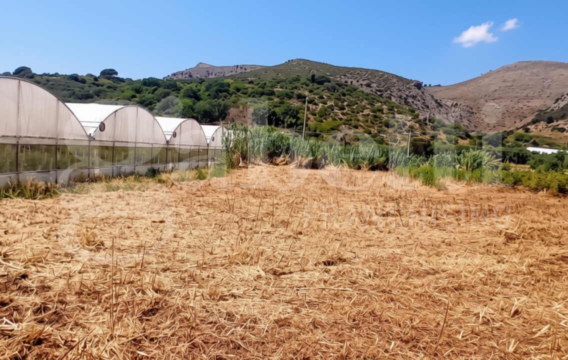 Terreno - Image 5