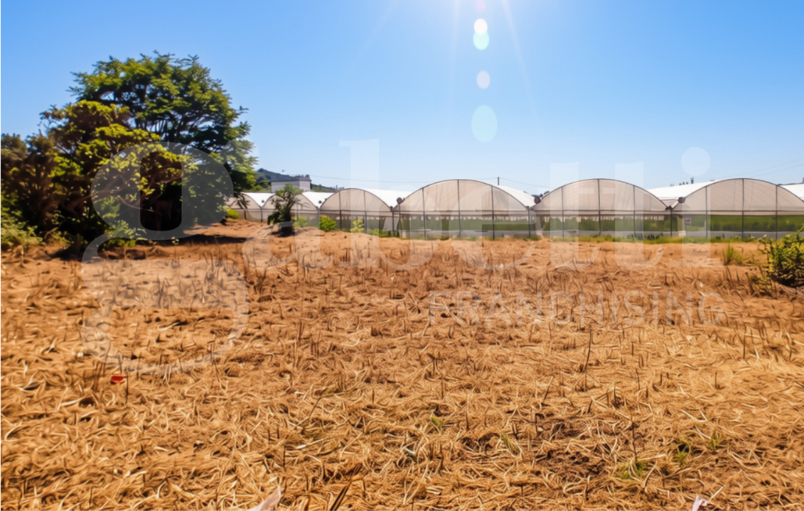 Terreno - Image 1