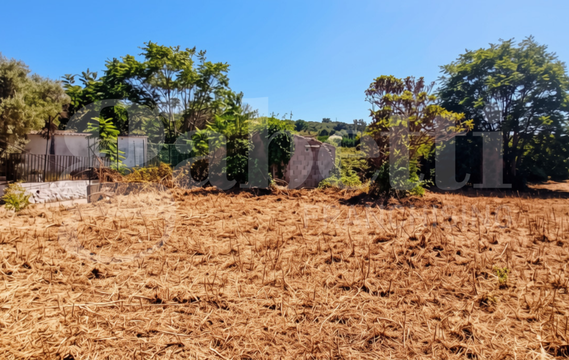Terreno - Image 3