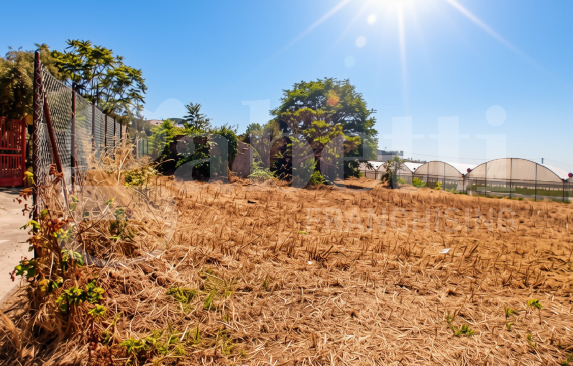 Terreno - Image 2