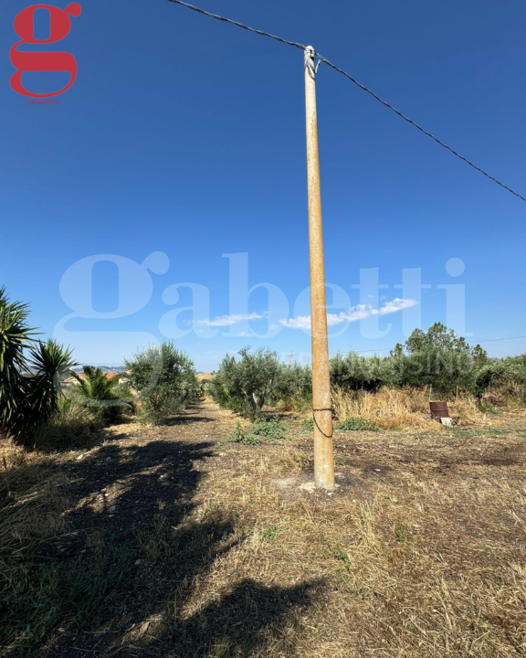 Appartamento - Image 6