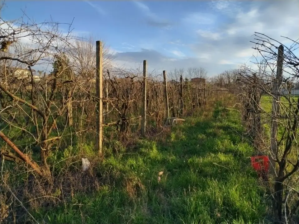 Terreno - Planimetry 4