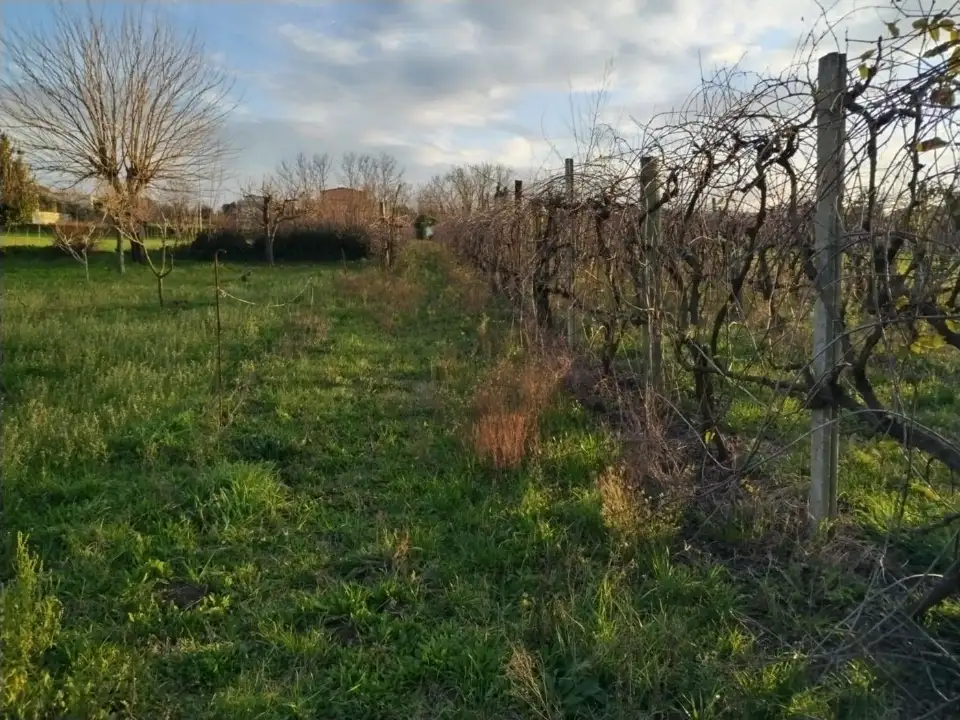 Terreno - Planimetry 7