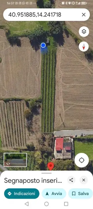 Terreno - Planimetry 6