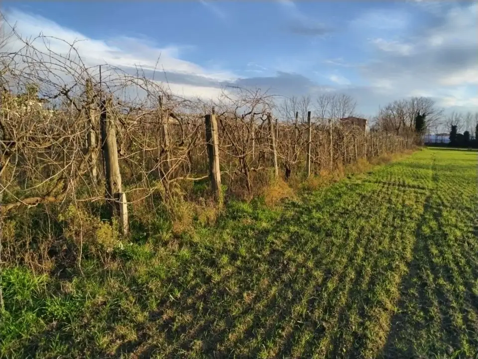 Terreno - Planimetry 1