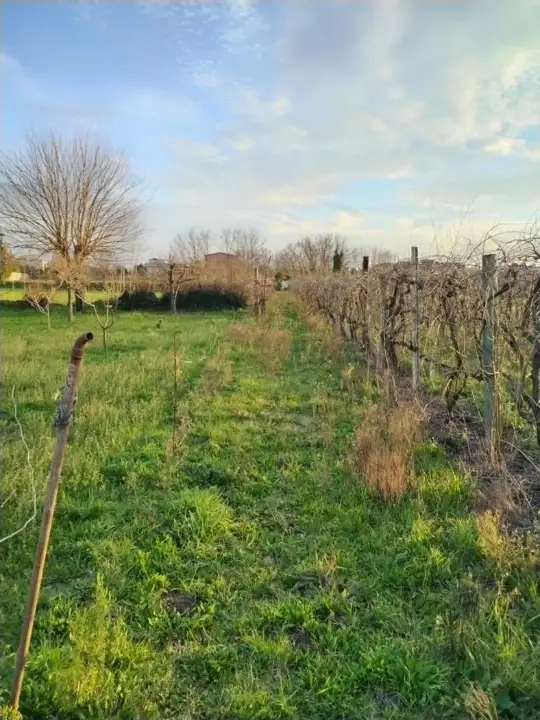 Terreno - Planimetry 3