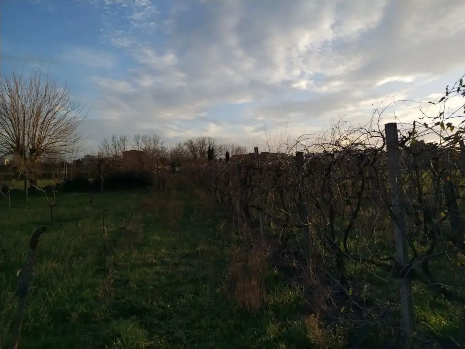 Terreno - Planimetry 2