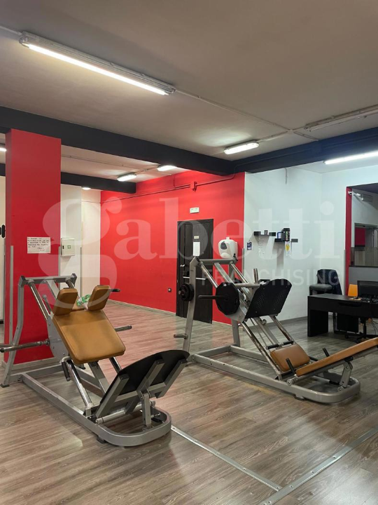 Attività - Planimetry 8