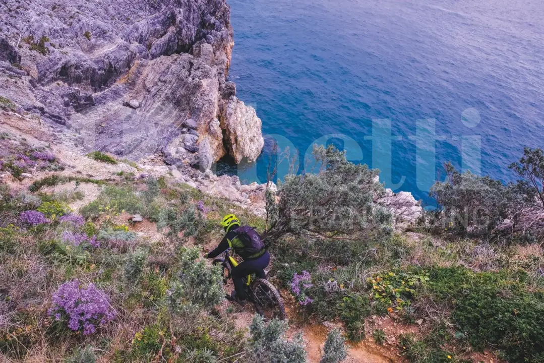 Appartamento - Image 15