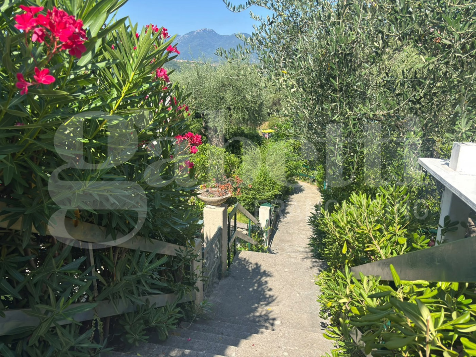 Appartamento - Image 3