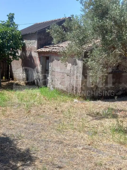 Casa Indipendente - Image 6