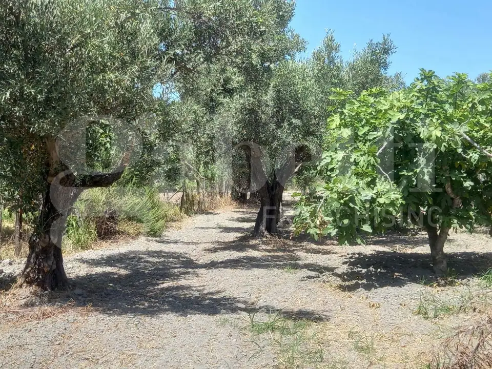 Casa Indipendente - Image 9