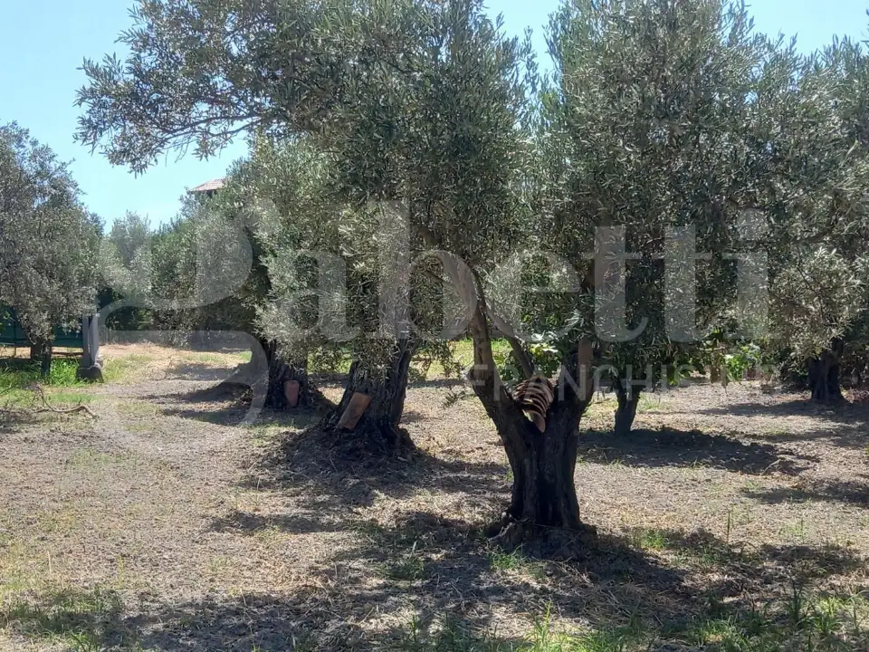 Casa Indipendente - Image 10