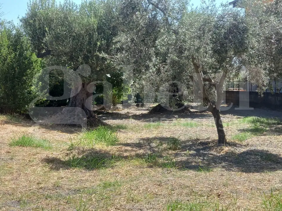 Casa Indipendente - Image 8