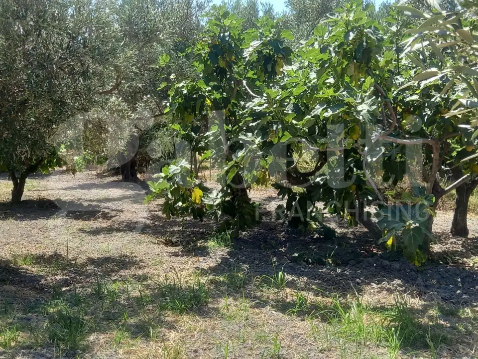 Casa Indipendente - Image 12