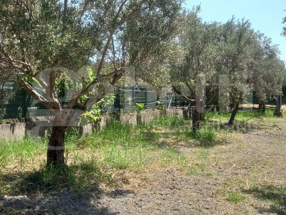 Casa Indipendente - Image 11