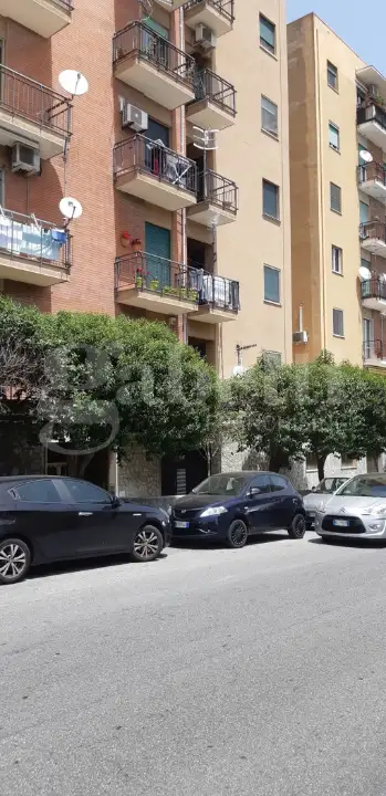 Magazzino - Image 18