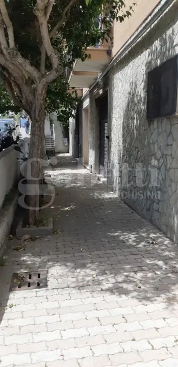 Magazzino - Image 15