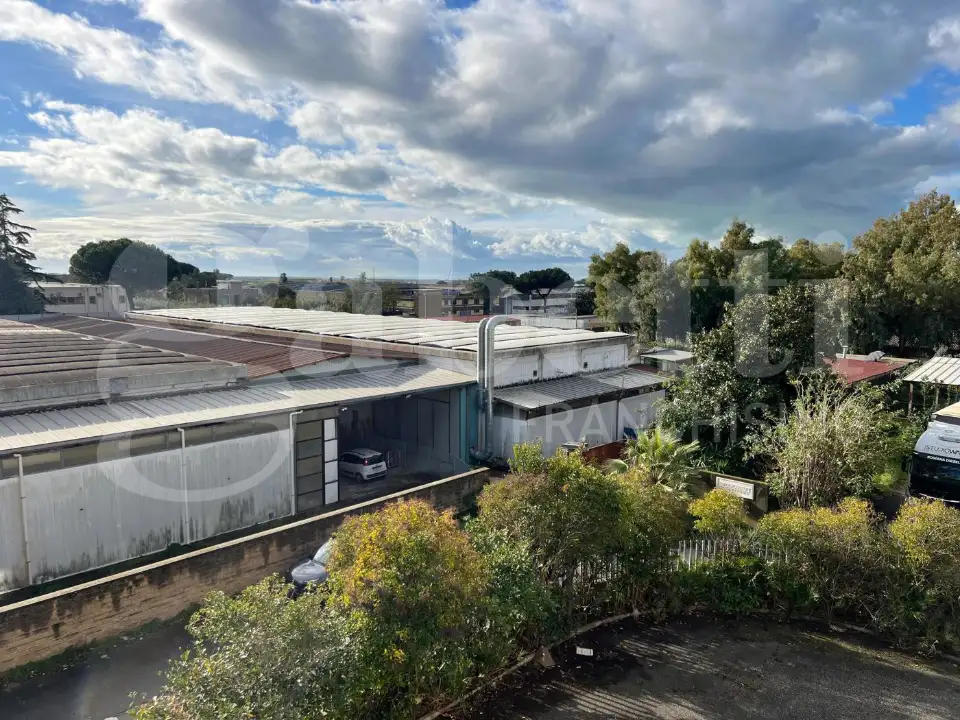 Complesso - Image 31