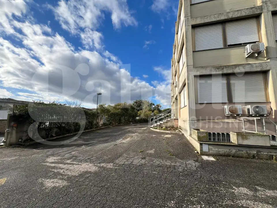 Complesso - Image 43