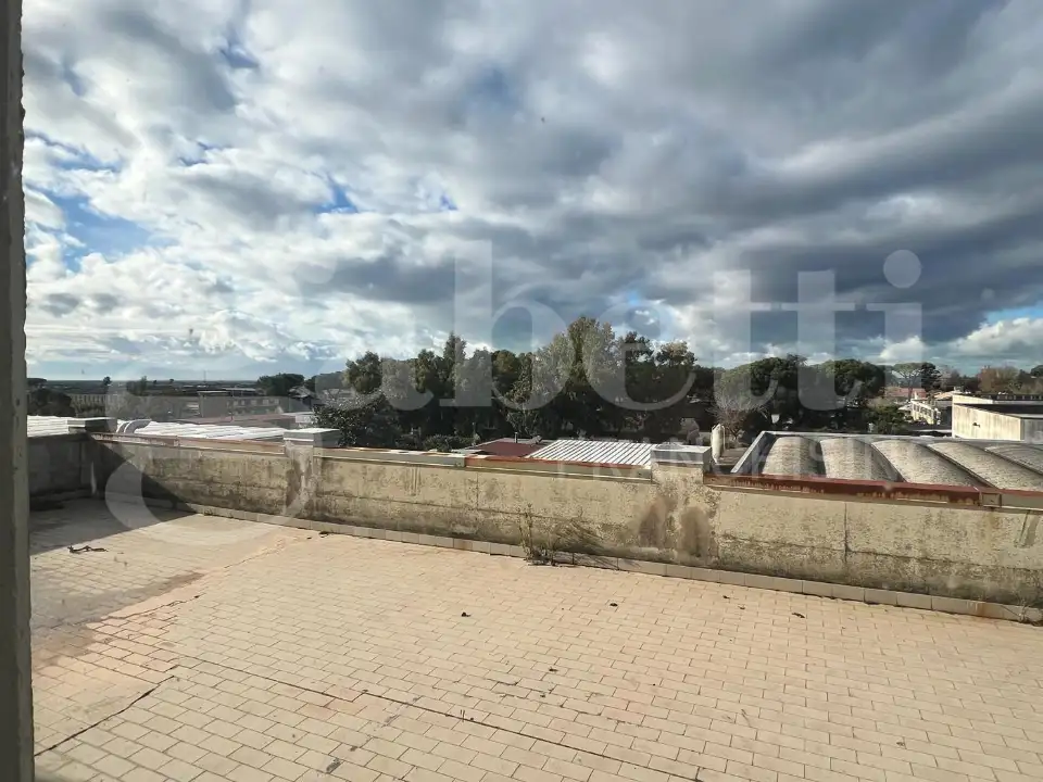 Complesso - Image 19