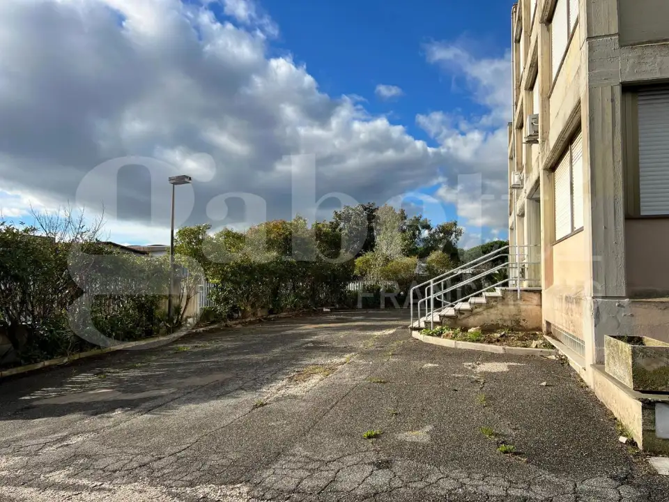 Complesso - Image 44