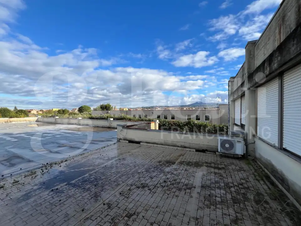 Complesso - Image 10