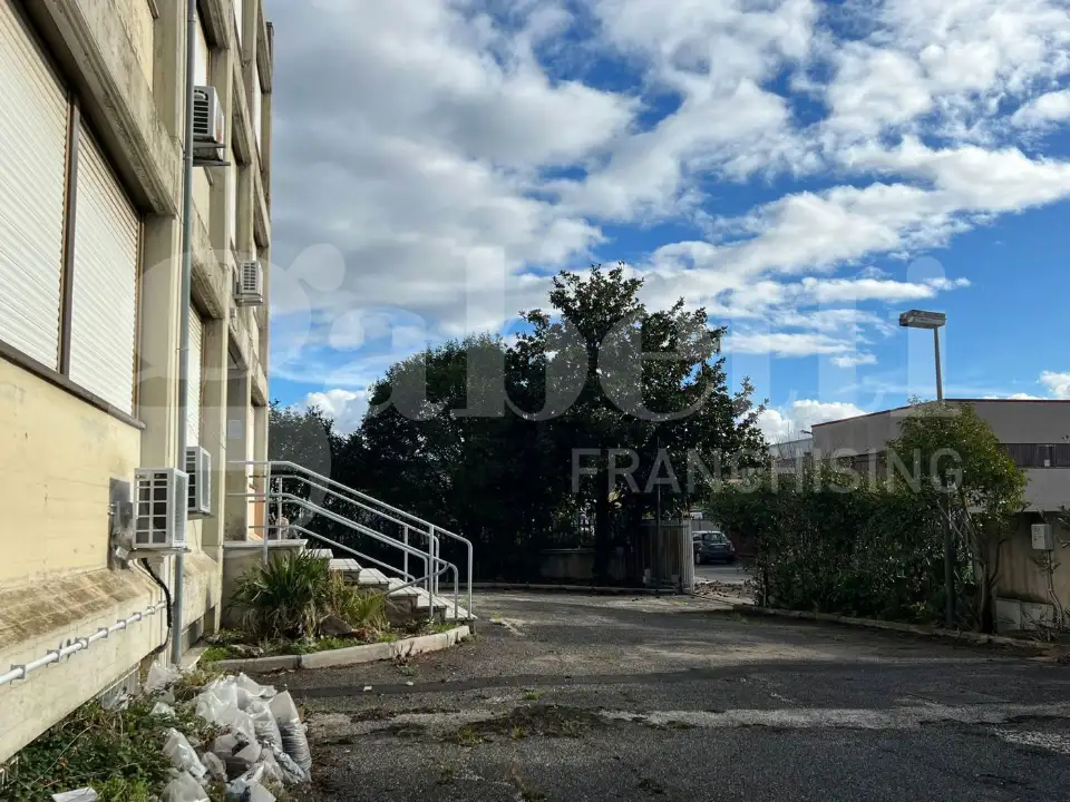 Complesso - Image 48