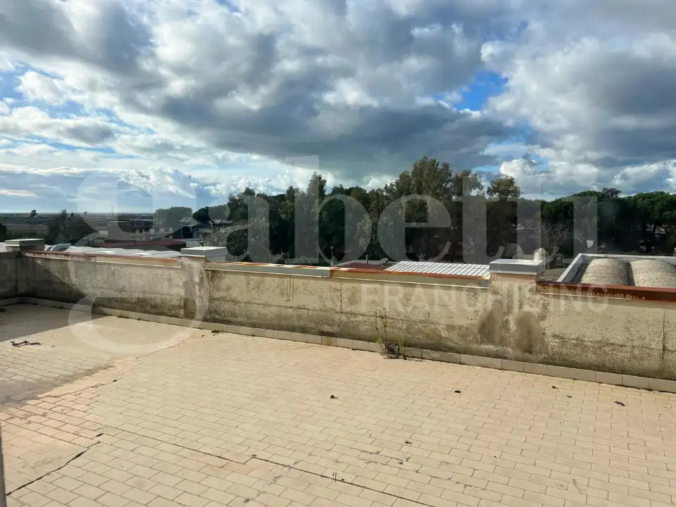 Complesso - Image 33