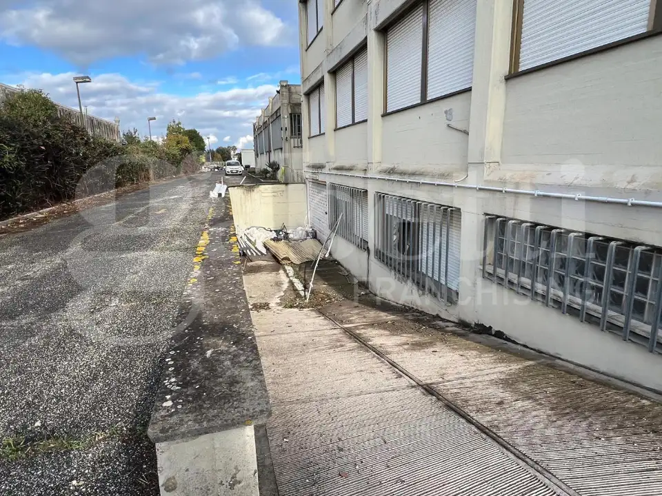 Complesso - Image 47