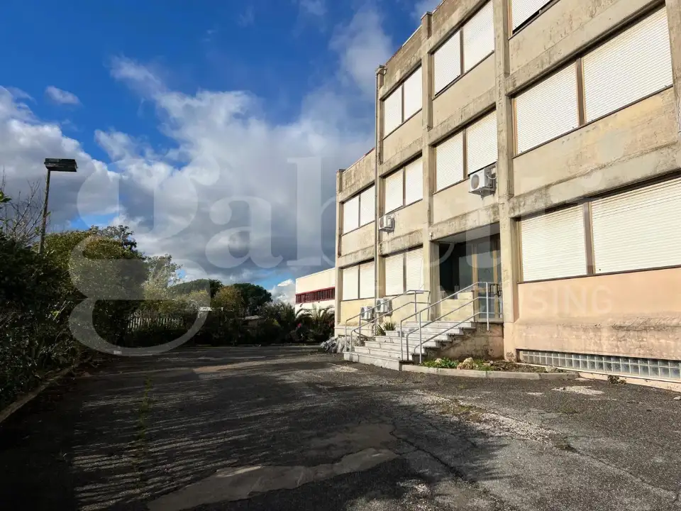 Complesso - Image 45