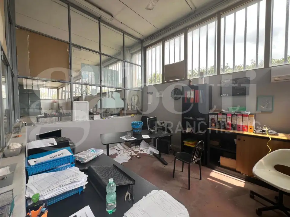 Magazzino - Image 13