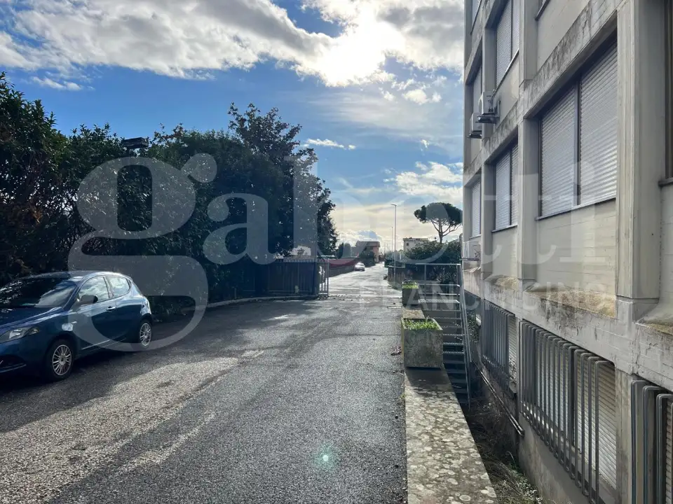 Complesso - Image 10